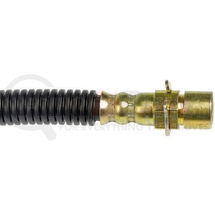 Dorman H620431 Brake Hydraulic Hose