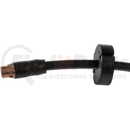 Dorman H620965 Brake Hydraulic Hose