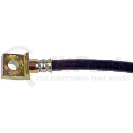 Dorman H621308 Brake Hydraulic Hose