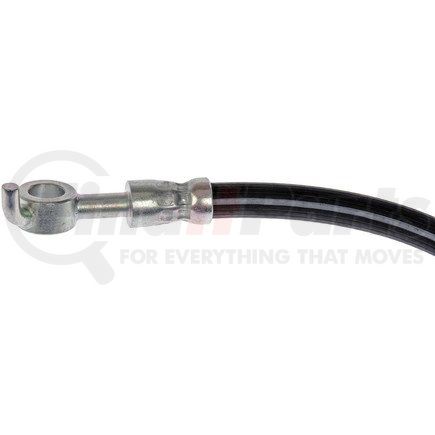 Dorman H629025 Brake Hydraulic Hose