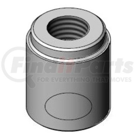 Dinex 17200041 Universal Fitting