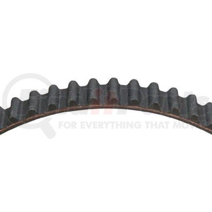 Dayco 95081 TIMING BELT, DAYCO