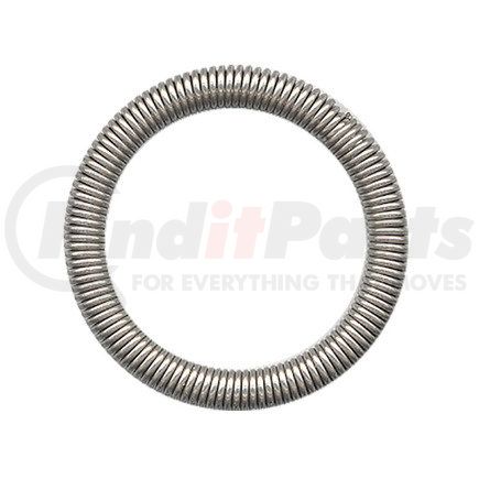 Omega Environmental Technologies MT0088 20 PK SLC GARTER SPRING FOR SPRING LOCK COUPLING