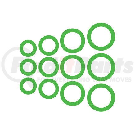 Omega Environmental Technologies MT0841 GM CAPTIVE O-RING ASSORTMENT