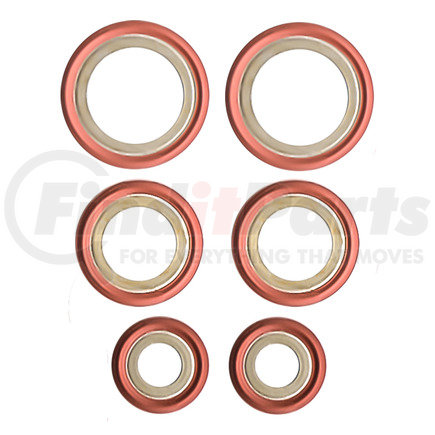 Omega Environmental Technologies MT1595 A/C Compressor Sealing Washer Kit