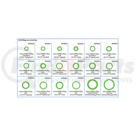 OMEGA ENVIRONMENTAL TECHNOLOGIES MT9589 - gm & ford basic o-ring kit | a/c o-ring kit