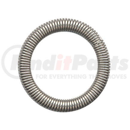 Omega Environmental Technologies MT0087 20 PK SLC GARTER SPRING FOR SPRING LOCK COUPLING