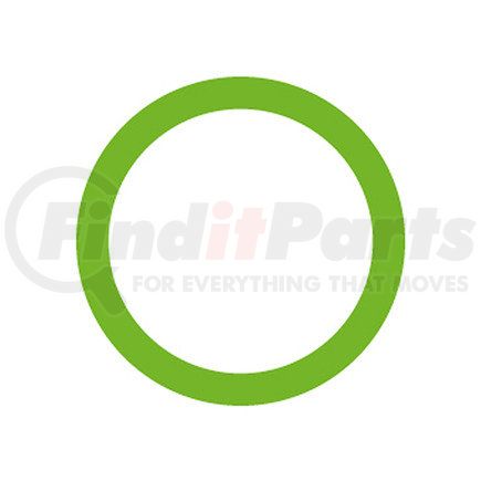 Omega Environmental Technologies MT0163 20 PK GREEN HNBR O-RING - #12 (3/4in) SPRINGLOCK