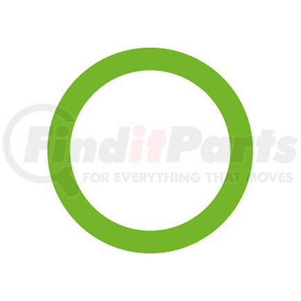 Omega Environmental Technologies MT0312 20 PK, GREEN HNBR O-RING - CHRY/INF/LEX/NIS/SUB/TO