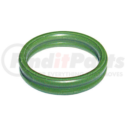 Omega Environmental Technologies MT1106 25 PK, FIAT DOUBLE O-RING #10  FIAT: 10552183