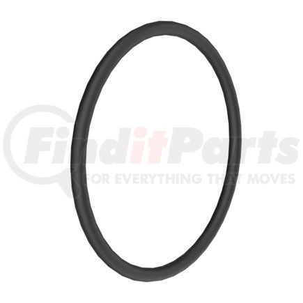 Detroit Diesel DDE-A0259974348 RING