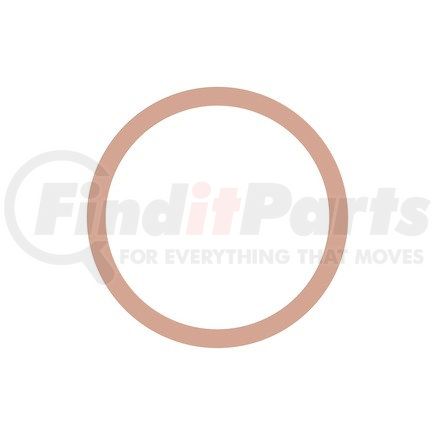 Detroit Diesel DDE-N000000001103 SEAL RING