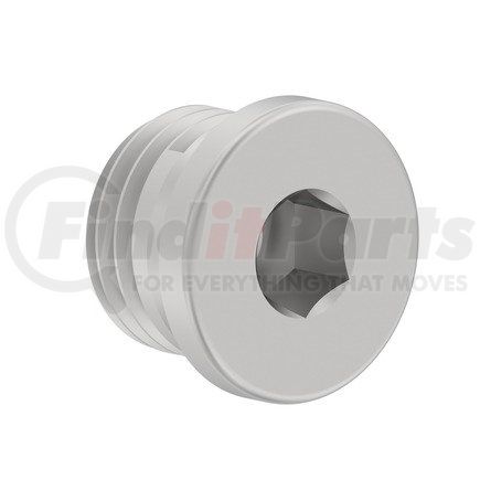 Detroit Diesel DDE-N000908022011 plug