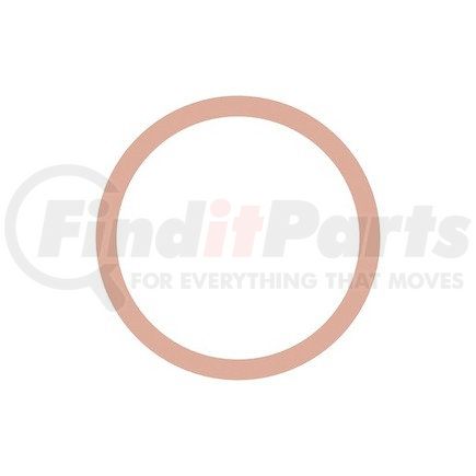 Detroit Diesel DDE-N007603027100 SEAL RING