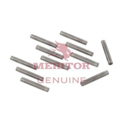 Needle Bearing Roller