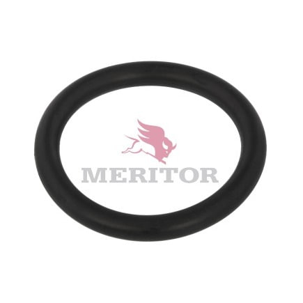 Brake Cam Seal