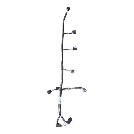 Engine Wiring Harness