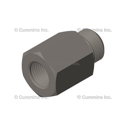 Banjo Bolt and Fitting