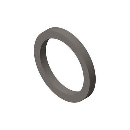 Seal Ring / Washer
