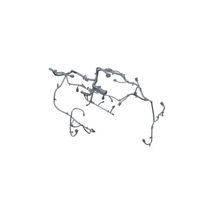 Engine Control Module (ECM) Wiring Harness