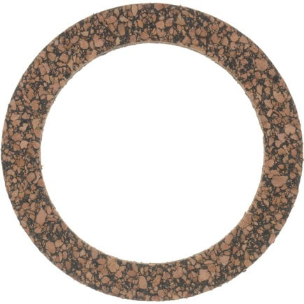 Ford F-150 Fuel Pump Bowl Gasket