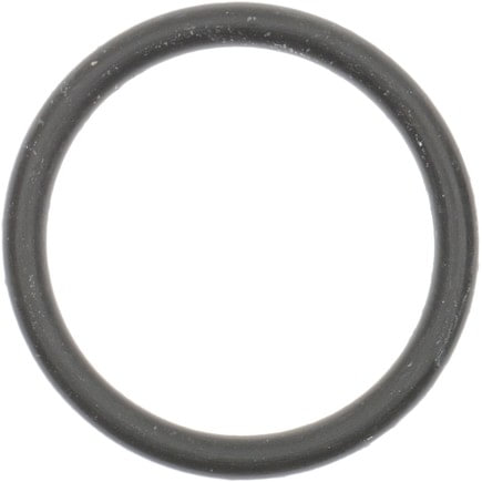 Oldsmobile Distributor Mounting Gasket