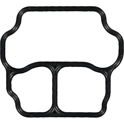 Hyundai Santa Fe Fuel Injection Idle Air Control Valve Gasket