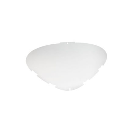 Face Shield