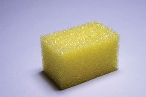 Sponge