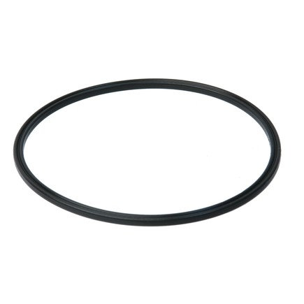 Fuel Pump Seal