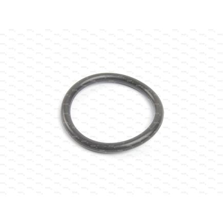 Differential Housing O-Ring