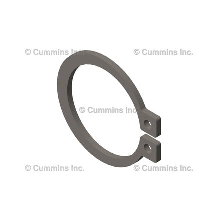 Fuel Pump Retaining Ring