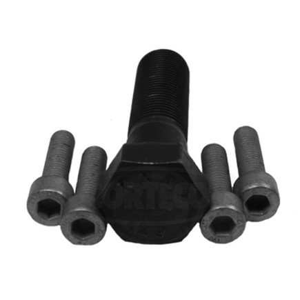 Engine Crankshaft Pulley Bolt