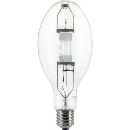 Work Light Bulb