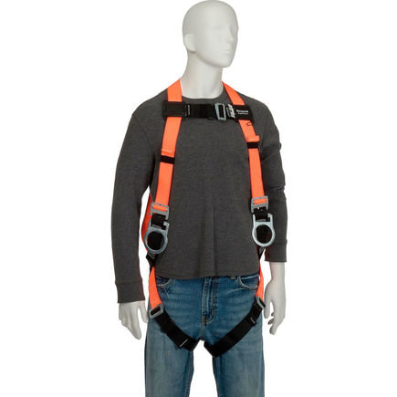 Safety Harness