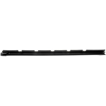 Door Belt Molding