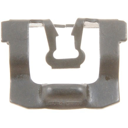 Molding Clip