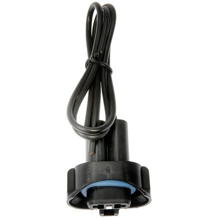 Headlight Socket