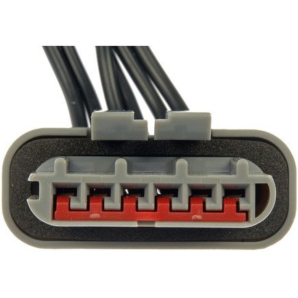 Ignition Harness