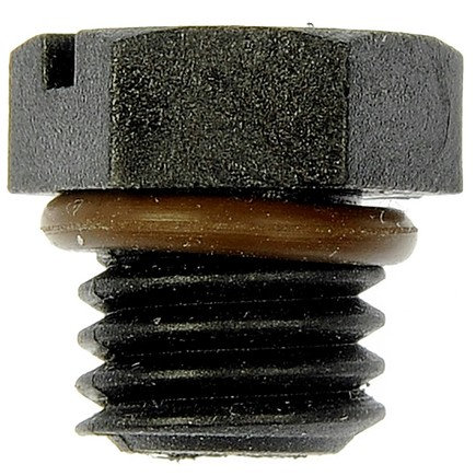 Diesel Fuel Filter Bleeder Screw