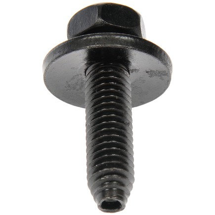 Body Bolt