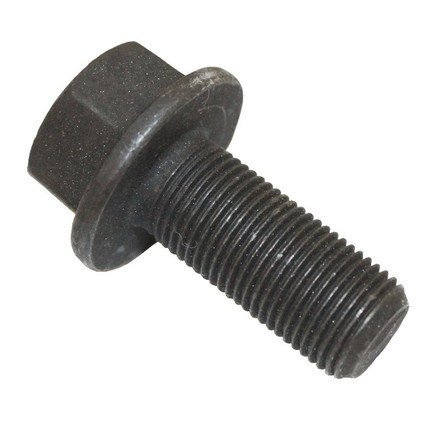 Frame Bolt