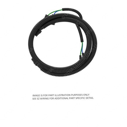 Main Wiring Harness