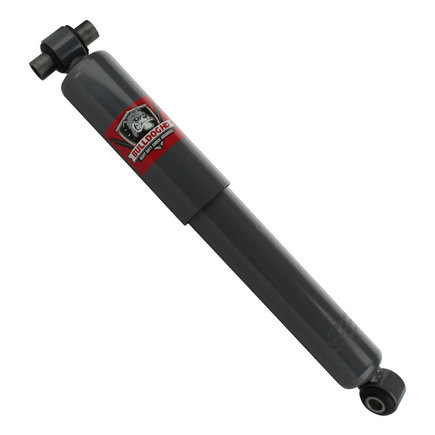 Mack Anthem Shocks and Struts