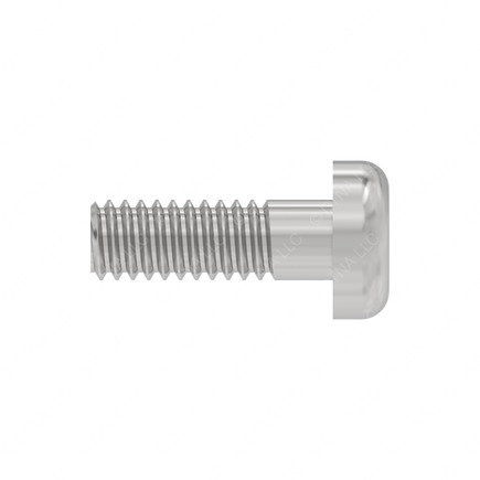 Radiator Screw