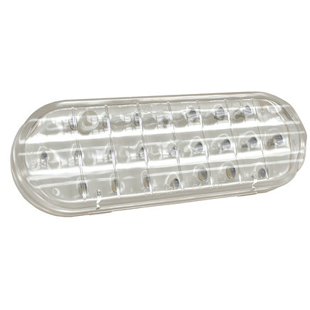 Back Up / License Plate Light