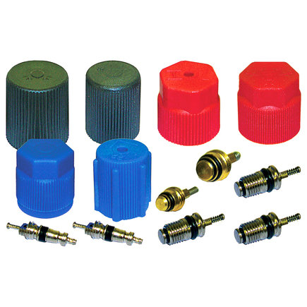 Freightliner Cascadia A/C System Valve Core and Cap Kit