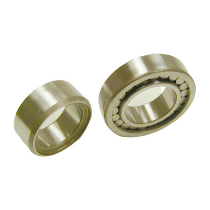 Differential Pinion Pilot Bearing