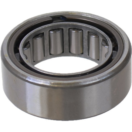 Differential Pinion Pilot Bearing