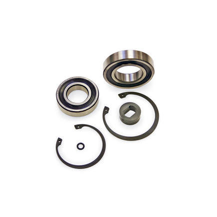 Engine Cooling Fan Clutch Pulley Bearing Kit